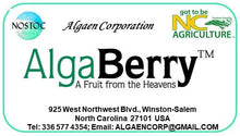 Load image into Gallery viewer, AlgaBerry