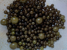 Load image into Gallery viewer, AlgaBerry