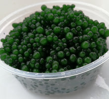 Load image into Gallery viewer, JadeBerry